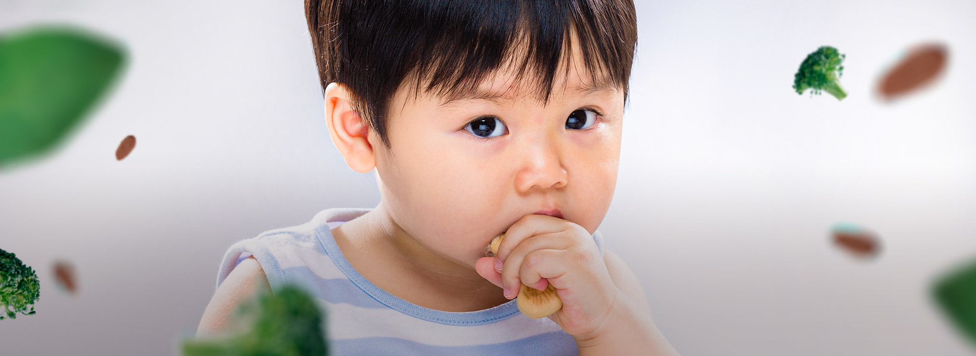 ¿Cuáles son las consecuencias de la anemia en el desarrollo del cerebro a nivel cognitivo?