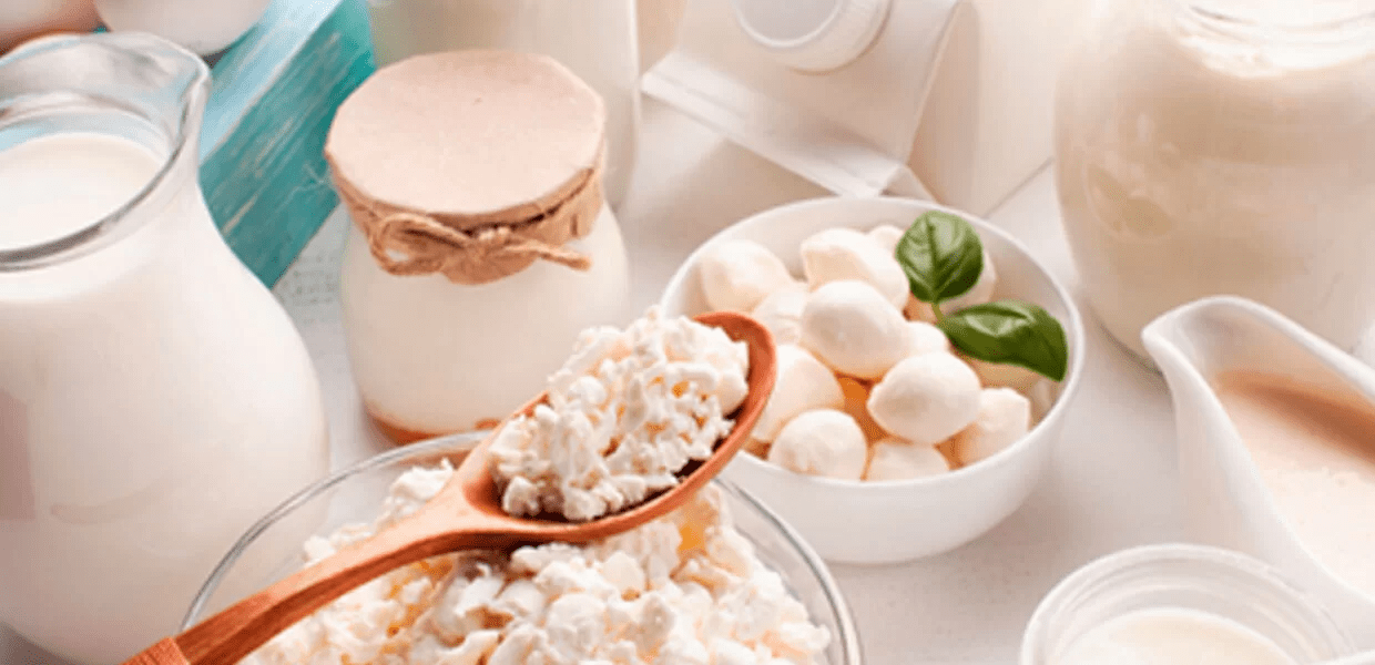 ¿Qué es la lactosa?